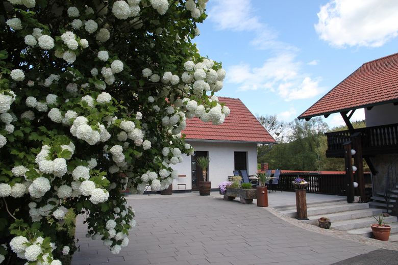 Mehrgenerationen - Hof mit 4 separaten Wohnungen – Fereienwohnung 56m² Bj. 1990