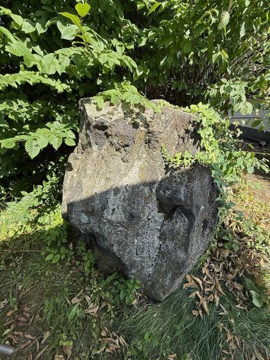 Viel Raum zum Leben: Riesige Landhausvilla in Neuhof/Fulda! – Gartenimpression 3