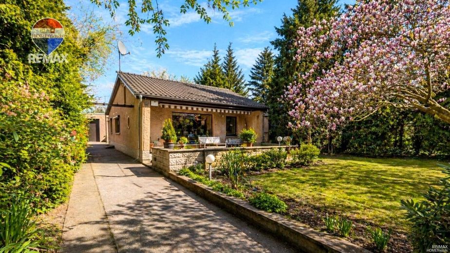 Casa unifamiliare bungalow a Berlino-Karow con cantina, garage, terreno di 1.006 m² | potenziale di ampliamento | si richiede la vostra offerta nel procedimento digitale! – Garten - Darstellung optimiert (Jahreszeit)