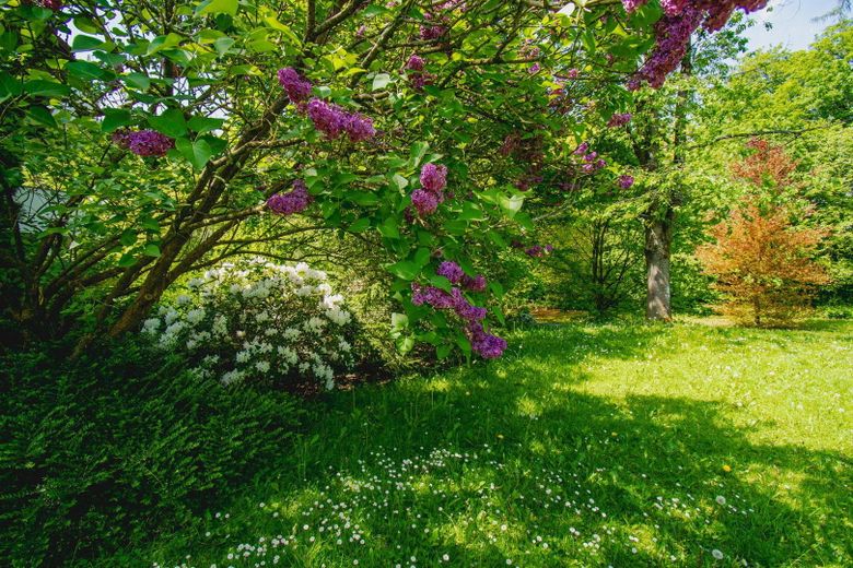 Garten Blickrichtung Westen