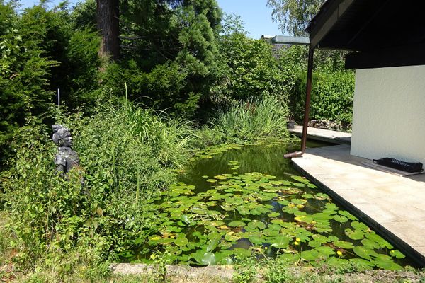 Große Maisonette mit Garten und Biotop