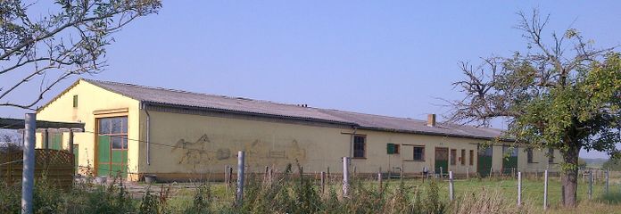 Stallgebäude, großer Pferdestall oder Schafstall mit Grünfläche