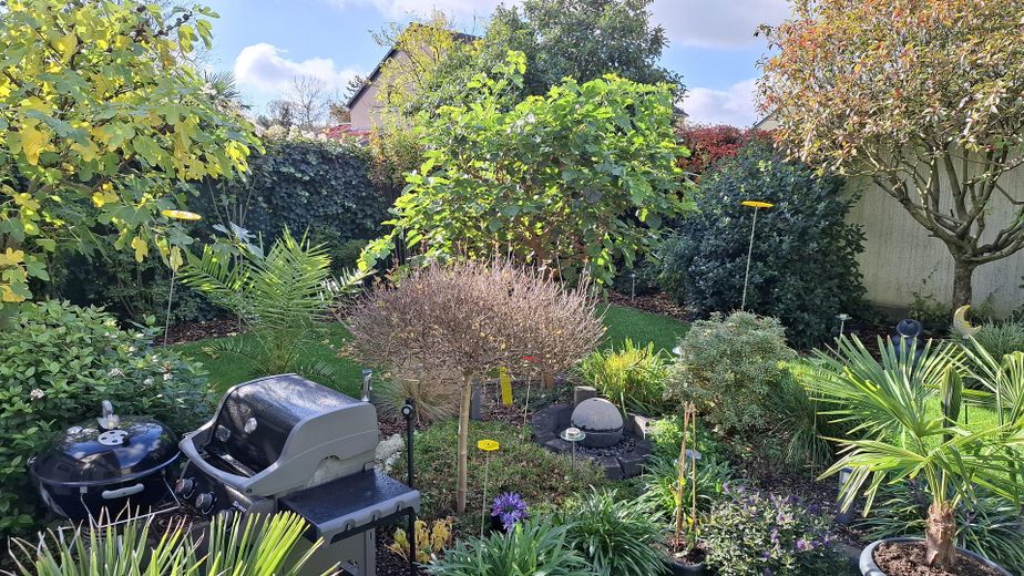 gepflegte Doppelhaushälfte mit Garten in Brühl-Eckdorf (provisionsfrei) – Garten