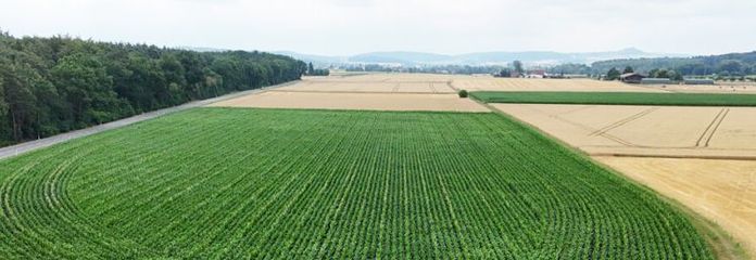 DIETZ: Ackerlandfläche direkt an einer Landstraße zu verkaufen zwischen Groß-Umstadt und Münster!