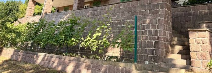 Mieszkanie z widokiem - przestronny dom jednorodzinny z ogrodem-paradisem i widokiem na Radebeul