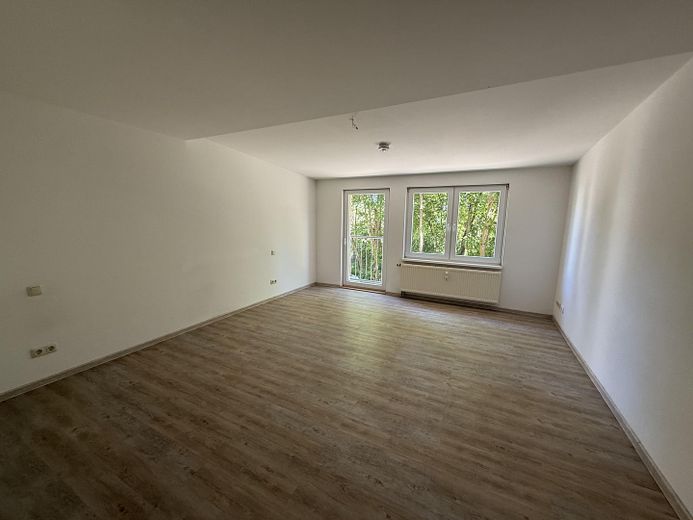 Zimmer1