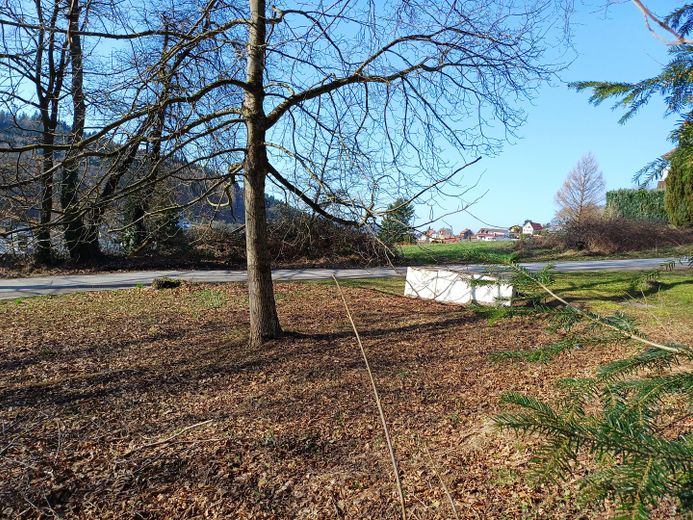Terreno edificabile progettato in posizione privilegiata a Wilhelmsfeld – Blick nach Süd-Westen