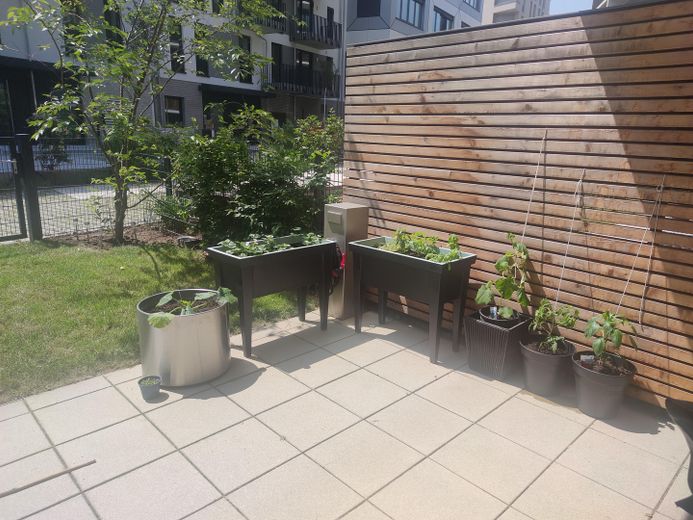 Garten im Sommer