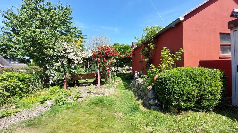 Garten hinten