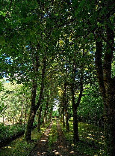 Landhaus am Rande des Nationalparks Hunsrück-Hochwald – Untere Allee