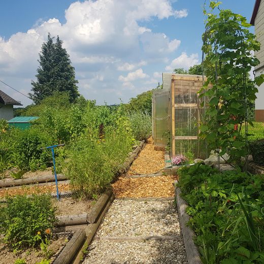  Beete u.Gewächshaus 