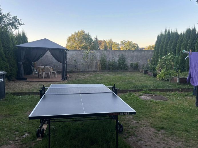 MFH mit 8 Wohnungen als solide Kapitalanlage – Blick in den Garten