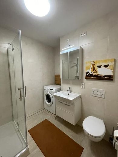 Monolocale completamente arredato a Wiesbaden-Biebrich – Bad