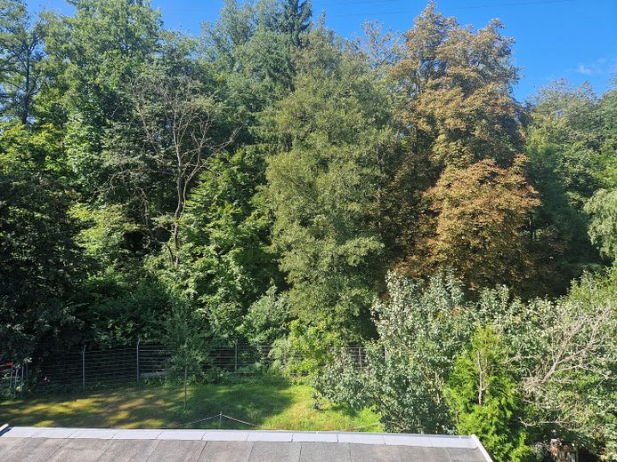 Blick in den Garten, Südseite