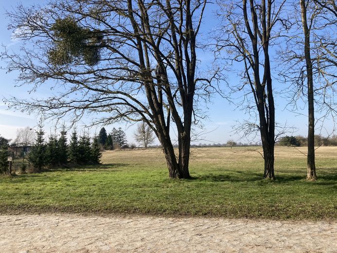 Blick nach Westen 