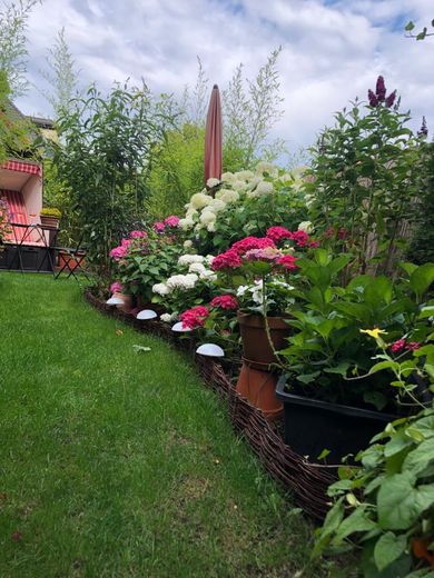 Schöne 2 Zimmer-Gartenwohnung in Ruhiger Lage – Garten