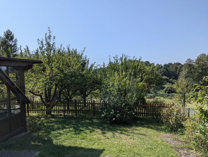 Blick ins Grüne