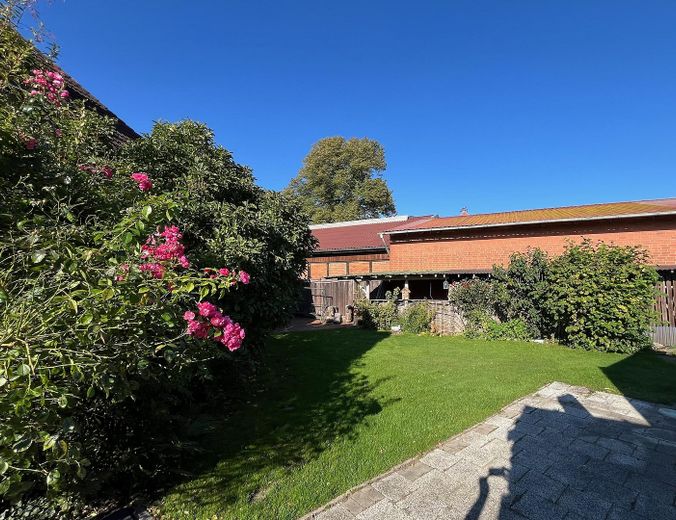 Blick in den Garten