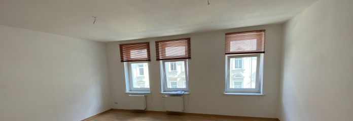 Wohnzimmer / Schlafzimmer