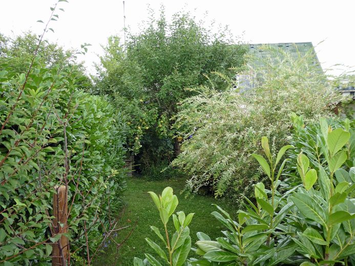 Grünflächen des Miteigentümers