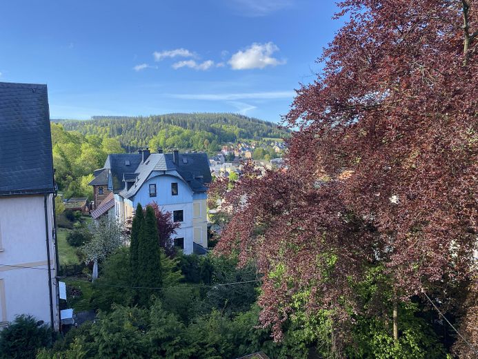 Blick über Schmiedeberg