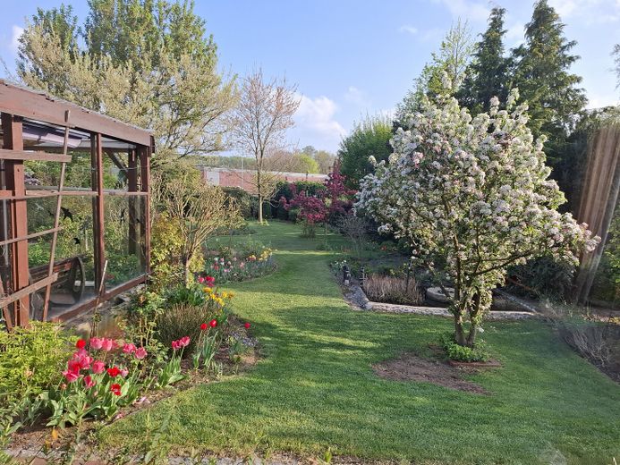 Blick in den Garten