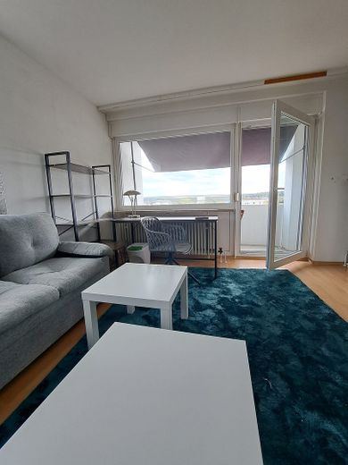 möblierte Einzimmerwohnung  mit  einmaligen Ausblick – Wohnraum mit Arbeitsplatz am F