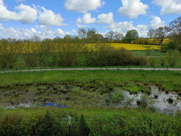 Moderna casa d’architetto ai margini dei campi a Erlenhof - senza provvigione! – Ausblick OG bei Rapsblüte