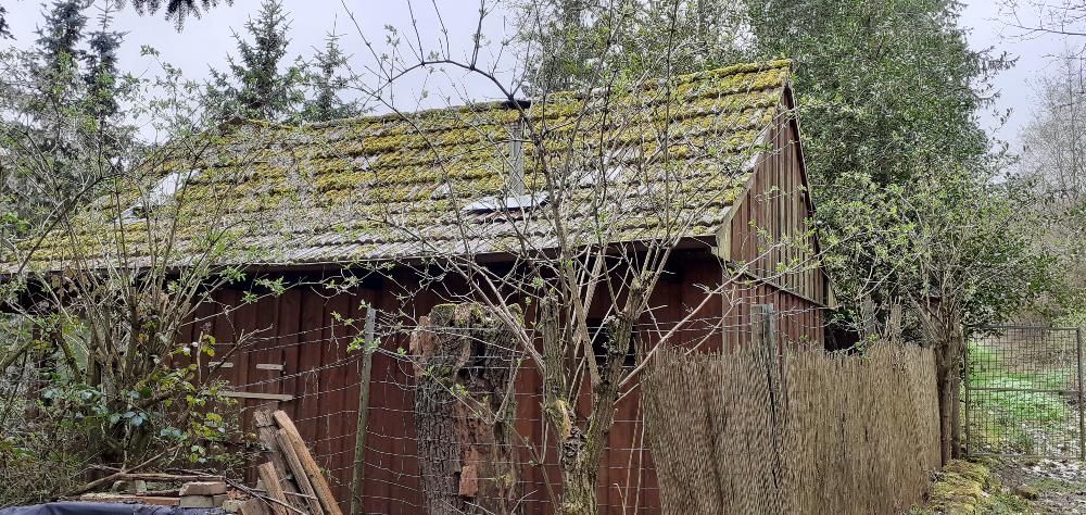 Ferienhaus, idyllisch gelegen – Ansicht, hinten