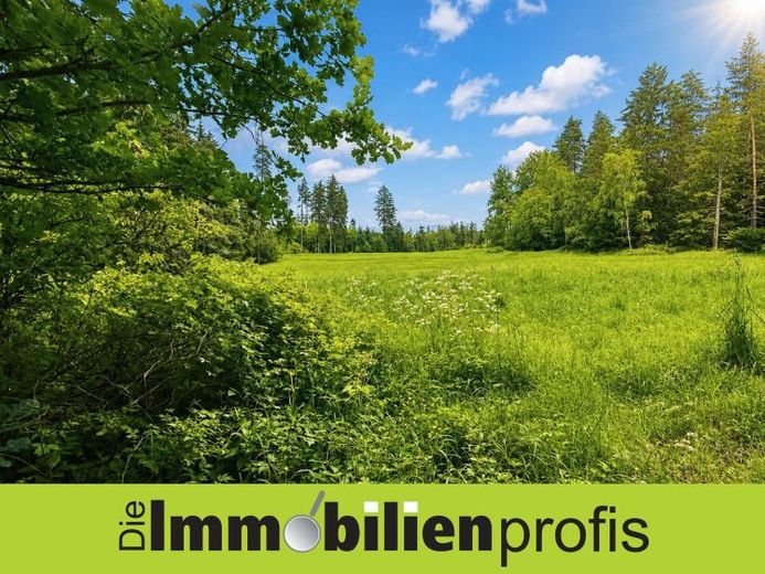 Idylle pur! Freizeitgrundstück am Kleinen Kornberg – फोटो 1