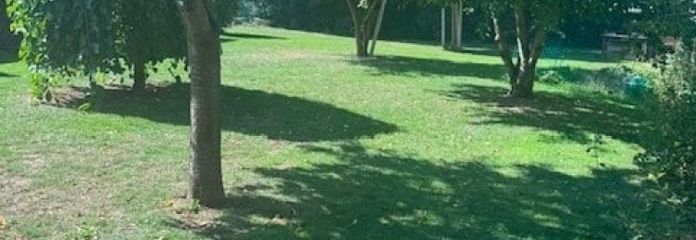 Parcela extraordinaria con mucha naturaleza – vivir donde el verde se convierte en una forma de vida
