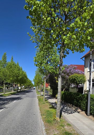 Sonnige Wohnung Kühlungsborn – Neue Reihe