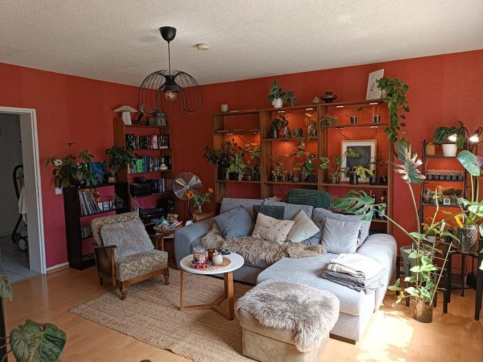 Möbliertes Wohnen: Brühl Innenstadt: 3 Z Einbauküche, Couch, Bett, Balkon, Garten, Schlossparknähe – Wohnzimmer