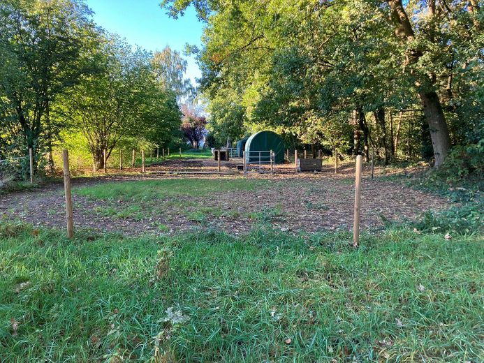 ► Freistehendes Wohnhaus direkt am Naturschutzgebiet – Foto 16