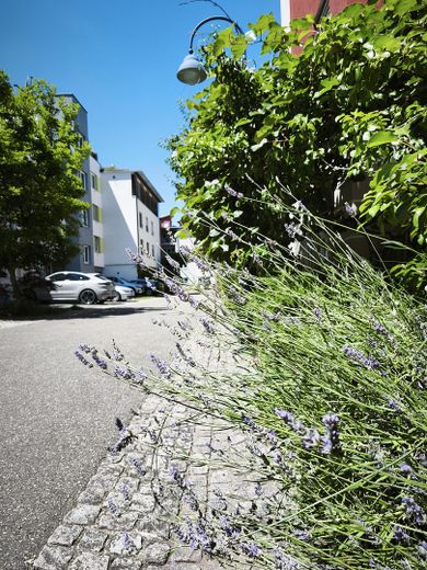 Appartamento per famiglie di rara bellezza – balcone esposto a sud-ovest, 2 bagni e posizione tranquilla di prim’ordine a Freiburg-Vauban – Ruhige sichere Privatstraße 