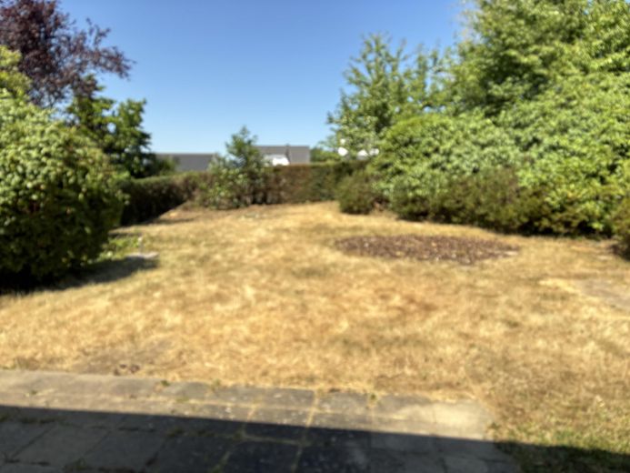 freistehendes Einfamilienhaus mit großen Grundstück und Ausbaupotential – Garten