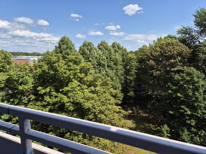 1-Zimmer-ETW als Kapitalanlage oder Eigennutzung direkt neben dem Elbe-Einkaufszentrum (sofort Frei) – Foto 16