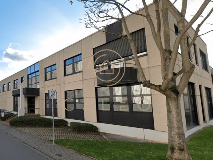 CALEO ¦ Raunheim ¦ Flughafennähe ¦ 300 m² - 841 m² ¦ ab EUR 10,00/m² ¦ PROVISIONSFREI – Foto 1