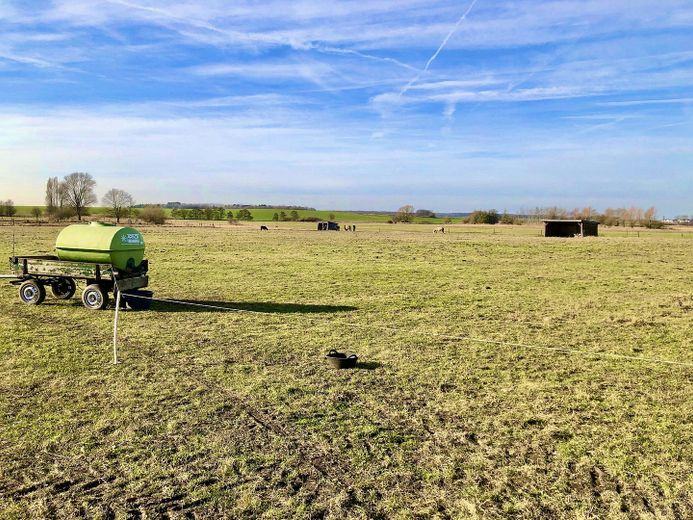 Pferdewiesen Stankenweg 