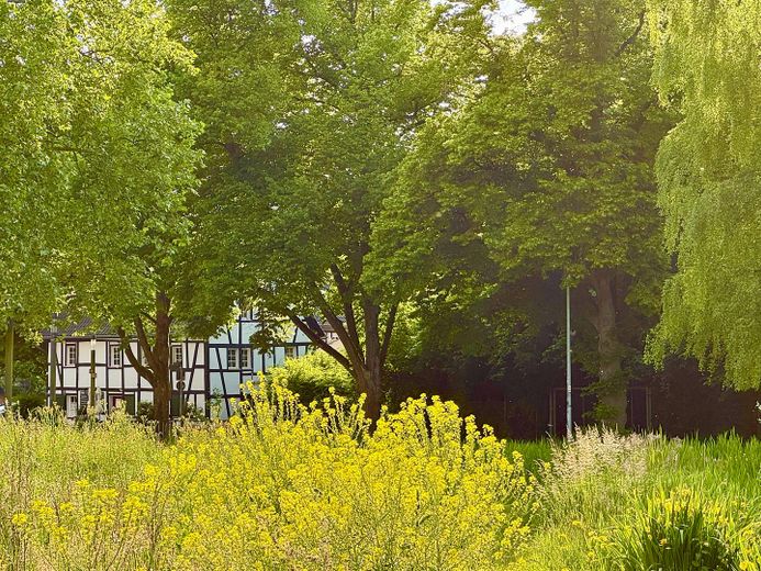 Die Buchmühle: Ubicación para eventos y negocios · Sala de exposición · Loft y diseño · Bienestar – Weg am Bach zur Buchmühle