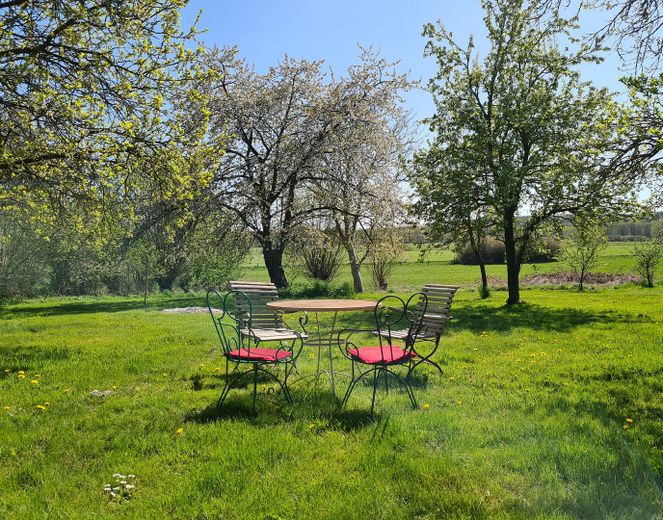 im Garten