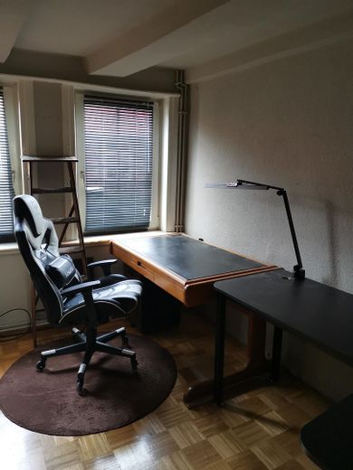 Grüne Oase am Rande der Altstadt – Arbeitszimmer