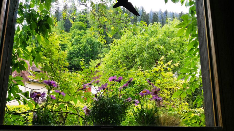 Blick aus Wohnzimmerfenster