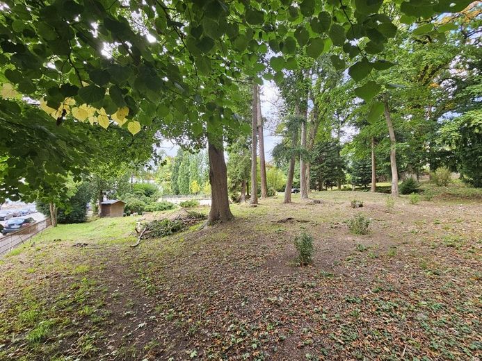 Schöne Grundstücke sind selten geworden: Bauplatz, 900 m² im Park mit altem Baumbestand - zugreifen! – 5264 - Ansicht von Osten