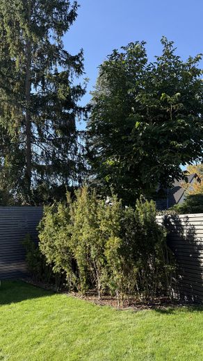 Modernes Endhaus am Brabandkanal mit großem Garten, Dachterrasse und Wellnessbereich – Sichtgeschützter Gartenbereich