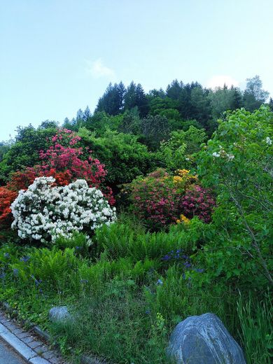 Garagengrundstück im Frühling