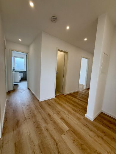 Hochwertig renovierte 3-Zimmer-Eigentumswohnung mit Loggia & Balkon – Erstbezug nach Renovierung – Foto 11