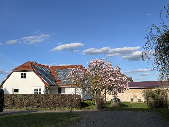 Einfamilienhaus auf großem Grundstück – Giebel, Garten Hecke, Findling