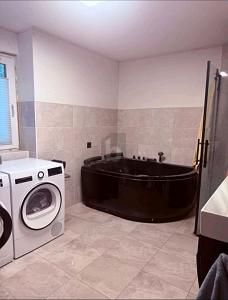 ساحر مع حديقة كبيرة – 1773735461_32a3b4.jpg