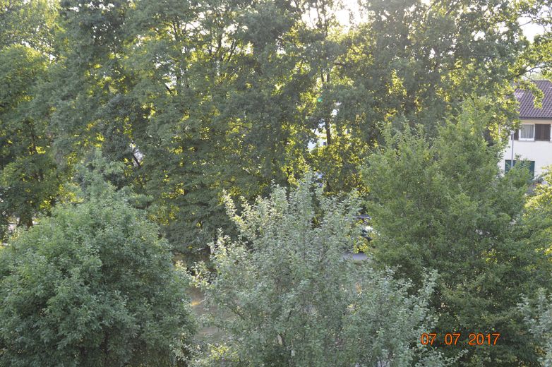 Habiter merveilleusement en solitaire, au calme et au milieu de la verdure de WI-Sonnenberg, sur un versant sud – Hauptzimmer Westblick